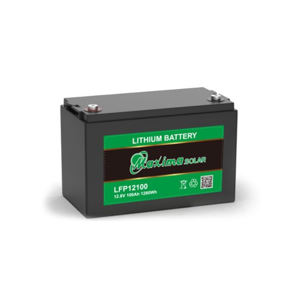 LFP12100